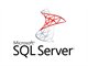 SQL Server (Perpetual)