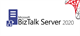 BizTalk Server (Perpetual)
