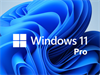 Windows 11 Pro (Perpetual)